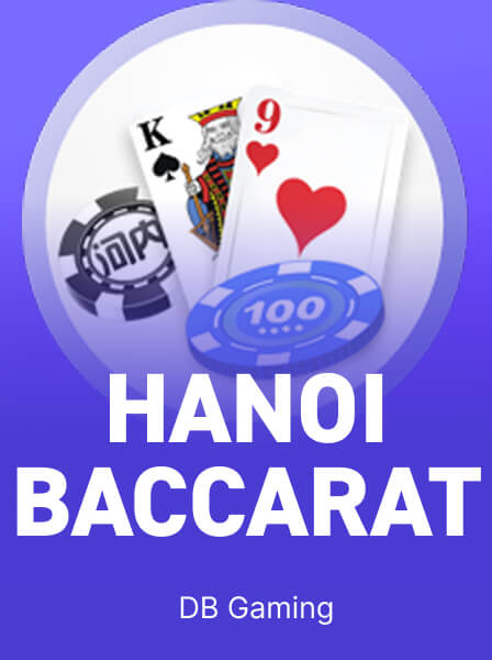 Discover the Excitement of VivaLive Casino\